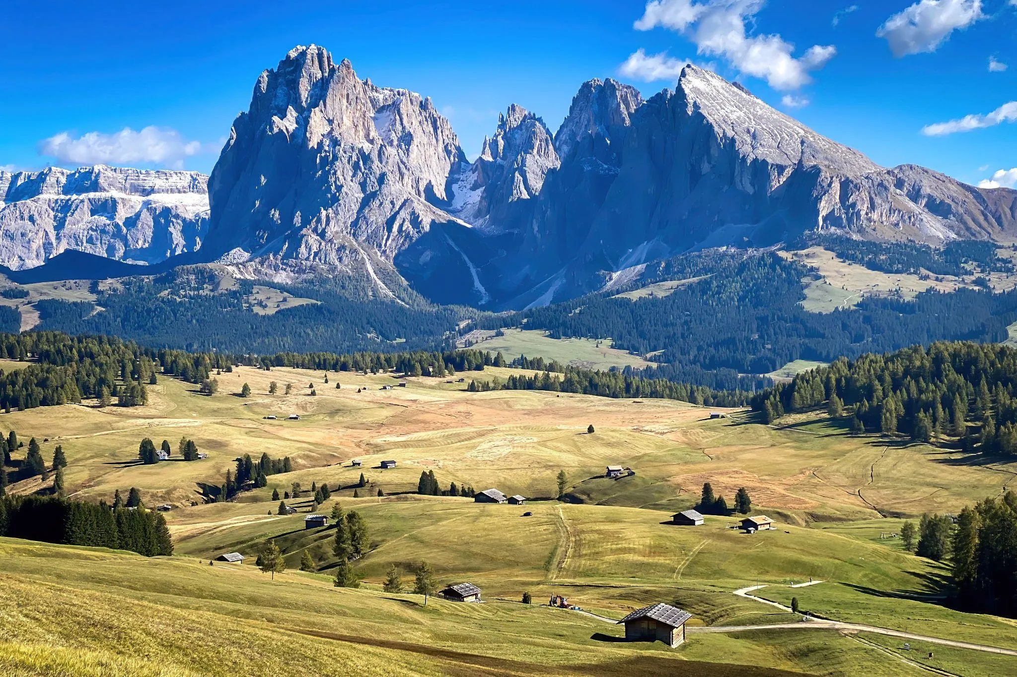 Weite Almwiesen mit verstreuten Holzhütten und Nadelbäumen, dahinter Langkofel und Plattkofel unter blauem Himmel